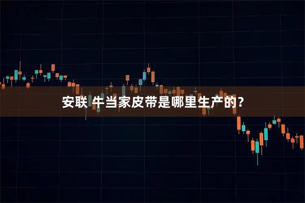 安联 牛当家皮带是哪里生产的？