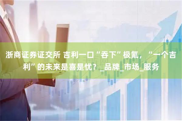 浙商证券证交所 吉利一口“吞下”极氪，“一个吉利”的未来是喜是忧？_品牌_市场_服务