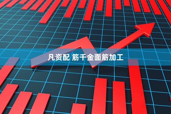 凡资配 筋千金面筋加工