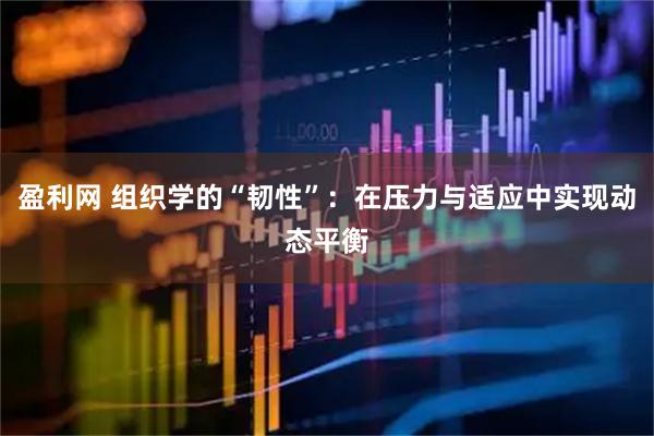 盈利网 组织学的“韧性”：在压力与适应中实现动态平衡