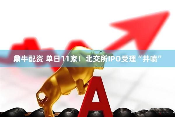 鼎牛配资 单日11家！北交所IPO受理“井喷”