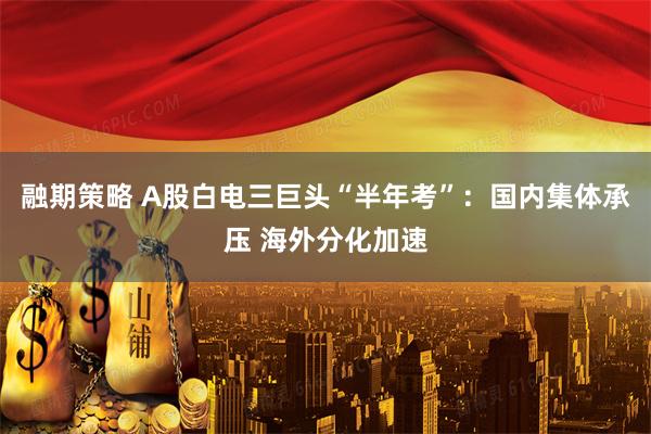 融期策略 A股白电三巨头“半年考”：国内集体承压 海外分化加速